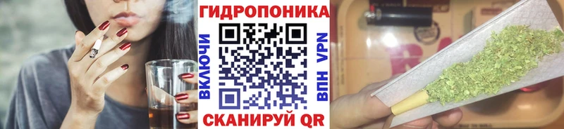 kraken   Сысерть  Бошки марихуана OG Kush 